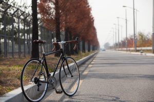 rowery i trasy - giant
